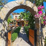 Feli Eski Adult Only * 닷차