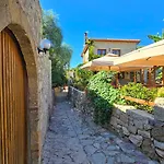 Feli Eski Adult Only *