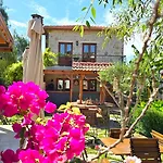 Feli Eski Adult Only