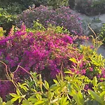 호텔 Feli Eski Adult Only