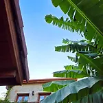 Feli Eski Adult Only