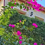 Feli Eski Adult Only * 닷차