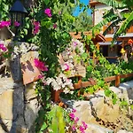 Feli Eski Adult Only