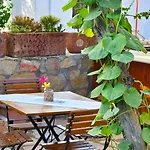 Feli Eski Adult Only 닷차