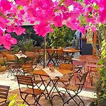 Feli Eski Adult Only 닷차