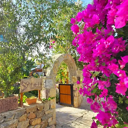 Hotel Feli Eski Adult Only