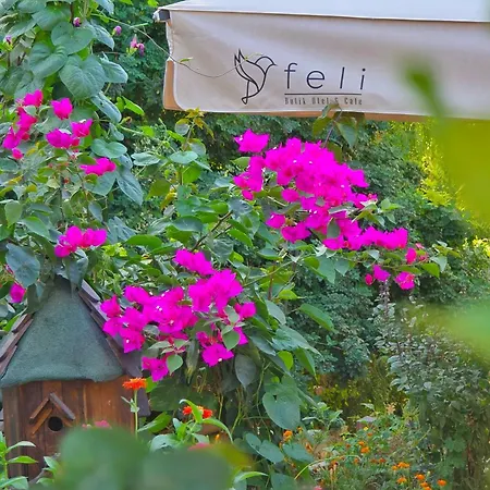 Hotel Feli Eski Adult Only