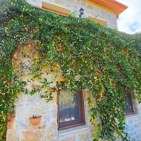 Hotel Feli Eski Adult Only