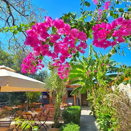 Hotel Feli Eski Adult Only Datça