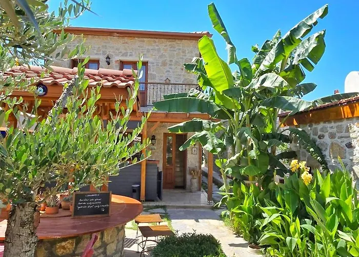 Feli Eski Adult Only * Datça