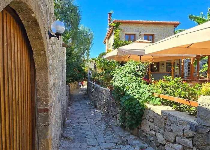 Feli Eski Adult Only *