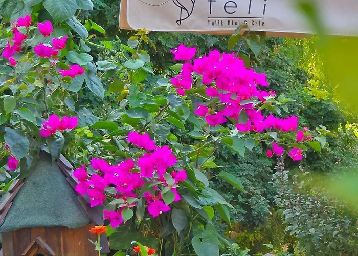 Hotel Feli Eski Adult Only