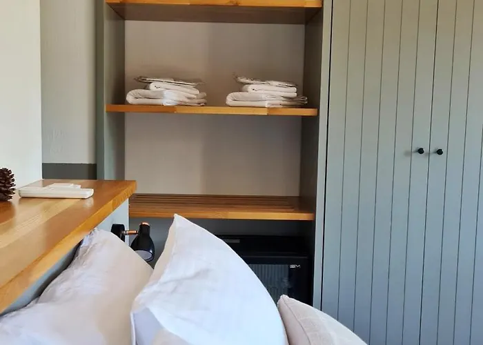 Feli Eski Adult Only *