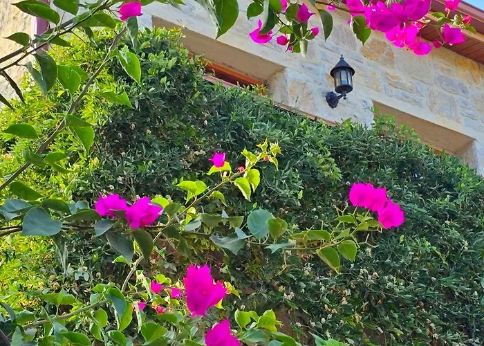 Feli Eski Adult Only * Datça