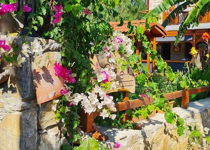 Feli Eski Adult Only