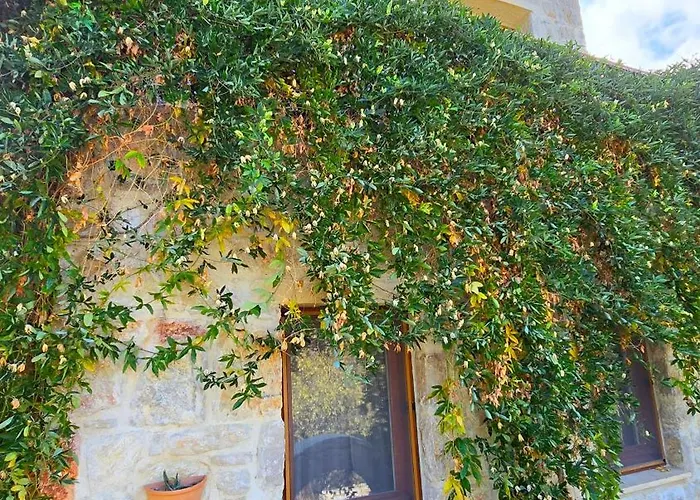 Hotel Feli Eski Adult Only