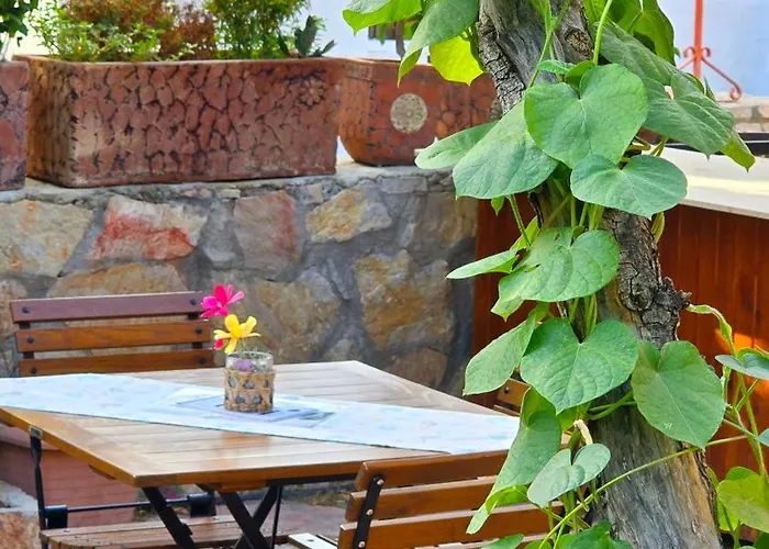 Feli Eski Adult Only Datça