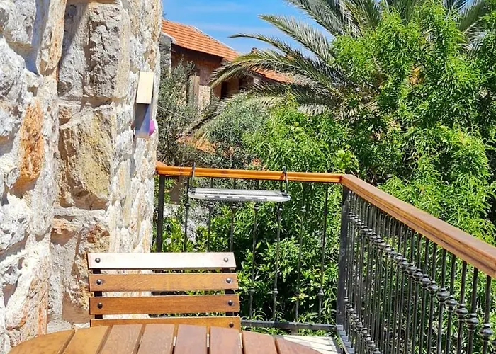 Feli Eski Adult Only *